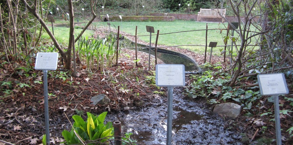 UW Medicinal Herb Garden Blog